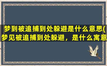 梦到被追捕到处躲避是什么意思(梦见被追捕到处躲避，是什么寓意？)