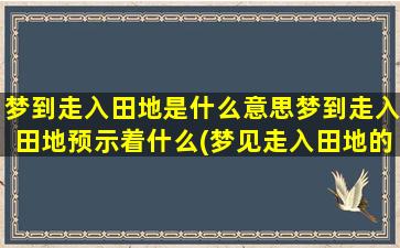 梦到走入田地是什么意思梦到走入田地预示着什么(梦见走入田地的含义及预示)