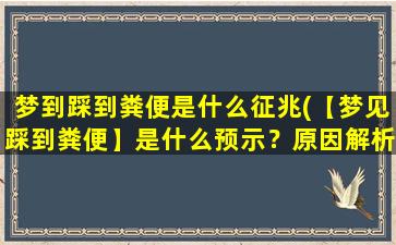 梦到踩到粪便是什么征兆(【梦见踩到粪便】是什么预示？原因解析及应对方法)