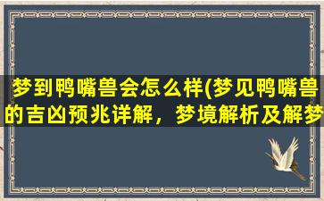 梦到鸭嘴兽会怎么样(梦见鸭嘴兽的吉凶预兆详解，梦境解析及解梦技巧大揭秘！)