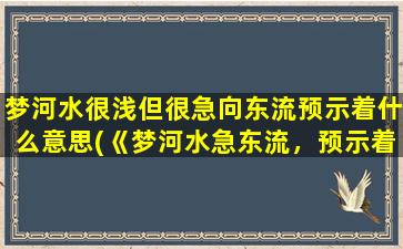 梦河水很浅但很急向东流预示着什么意思(《梦河水急东流，预示着什么意思？》)