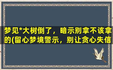 梦见*大树倒了，暗示别拿不该拿的(留心梦境警示，别让贪心失信引*，学会为他人着想)