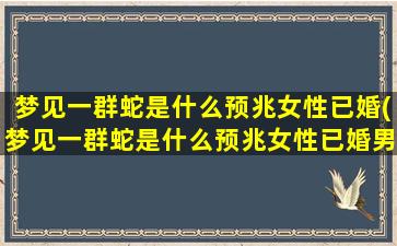 梦见一群蛇是什么预兆女性已婚(梦见一群蛇是什么预兆女性已婚男人)