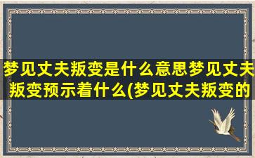 梦见丈夫叛变是什么意思梦见丈夫叛变预示着什么(梦见丈夫叛变的含义及预示，看看你的内心是否出了问题)