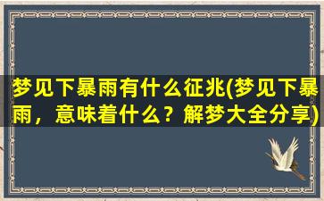 梦见下暴雨有什么征兆(梦见下暴雨，意味着什么？解梦大全分享)