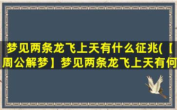 梦见两条龙飞上天有什么征兆(【周公解梦】梦见两条龙飞上天有何含义？)