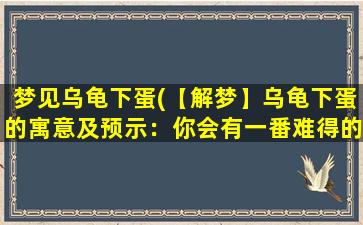 梦见乌龟下蛋(【解梦】乌龟下蛋的寓意及预示：你会有一番难得的成就和收获！)