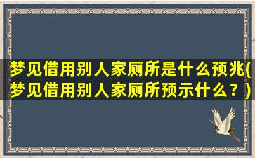 梦见借用别人家厕所是什么预兆(梦见借用别人家厕所预示什么？)