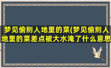 梦见偷别人地里的菜(梦见偷别人地里的菜差点被大水淹了什么意思)