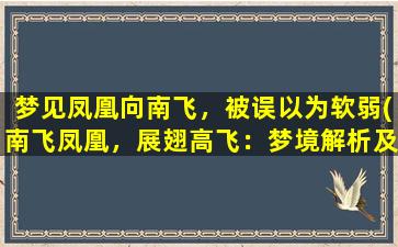 梦见凤凰向南飞，被误以为软弱(南飞凤凰，展翅高飞：梦境解析及象征意义)