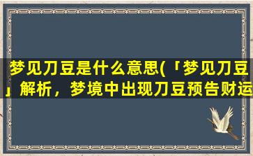 梦见刀豆是什么意思(「梦见刀豆」解析，梦境中出现刀豆预告财运？)