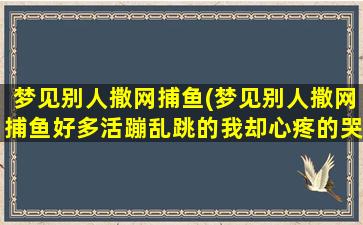 梦见别人撒网捕鱼(梦见别人撒网捕鱼好多活蹦乱跳的我却心疼的哭了)