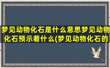 梦见动物化石是什么意思梦见动物化石预示着什么(梦见动物化石的意义和预示)