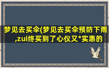 梦见去买伞(梦见去买伞预防下雨,zui终买到了心仪又*实惠的伞)