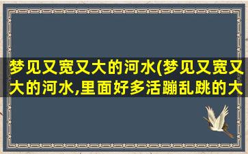 梦见又宽又大的河水(梦见又宽又大的河水,里面好多活蹦乱跳的大鱼)