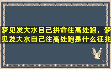 梦见发大水自己拼命往高处跑，梦见发大水自己往高处跑是什么征兆