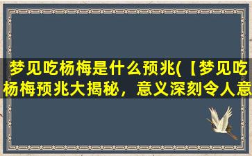 梦见吃杨梅是什么预兆(【梦见吃杨梅预兆大揭秘，意义深刻令人意外】)