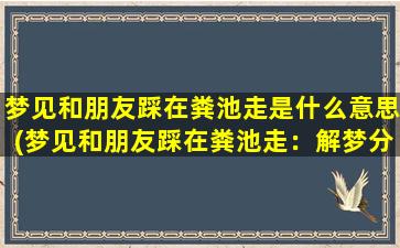 梦见和朋友踩在粪池走是什么意思(梦见和朋友踩在粪池走：解梦分析及其意义)