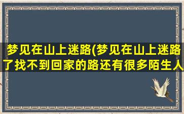 梦见在山上迷路(梦见在山上迷路了找不到回家的路还有很多陌生人在走路)