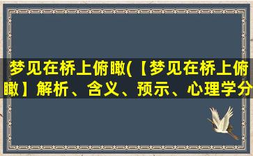 梦见在桥上俯瞰(【梦见在桥上俯瞰】解析、含义、预示、心理学分析)