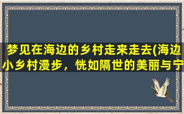 梦见在海边的乡村走来走去(海边小乡村漫步，恍如隔世的美丽与宁静)