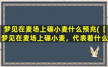 梦见在麦场上碾小麦什么预兆(【梦见在麦场上碾小麦，代表着什么？】)