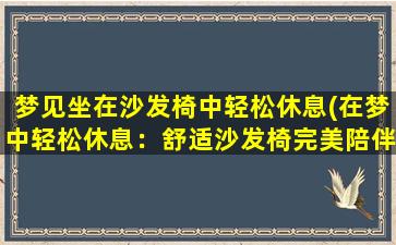 梦见坐在沙发椅中轻松休息(在梦中轻松休息：舒适沙发椅完美陪伴！)