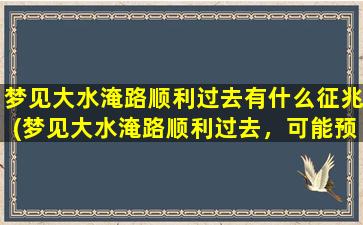 梦见大水淹路顺利过去有什么征兆(梦见大水淹路顺利过去，可能预示着什么好兆头)