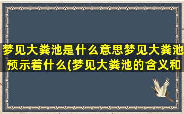 梦见大粪池是什么意思梦见大粪池预示着什么(梦见大粪池的含义和预示)