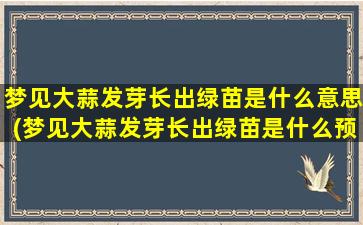 梦见大蒜发芽长出绿苗是什么意思(梦见大蒜发芽长出绿苗是什么预兆？解梦专家告诉你！)