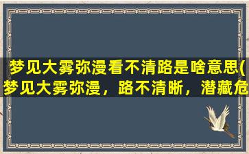 梦见大雾弥漫看不清路是啥意思(梦见大雾弥漫，路不清晰，潜藏危机！)