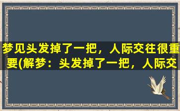 梦见头发掉了一把，人际交往很重要(解梦：头发掉了一把，人际交往的重要性)