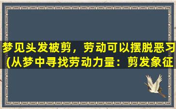 梦见头发被剪，劳动可以摆脱恶习(从梦中寻找劳动力量：剪发象征改变，破除恶习的禁锢)