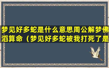 梦见好多蛇是什么意思周公解梦佛滔算命（梦见好多蛇被我打死了是什么预兆周公解梦）