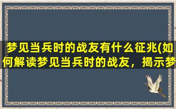 梦见当兵时的战友有什么征兆(如何解读梦见当兵时的战友，揭示梦境暗示与内涵)