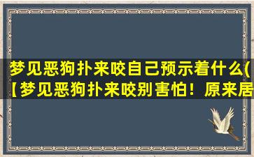 梦见恶狗扑来咬自己预示着什么(【梦见恶狗扑来咬别害怕！原来居然是......】)