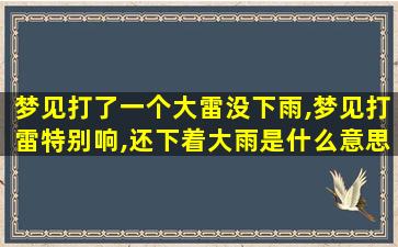 梦见打了一个大雷没下雨,梦见打雷特别响,还下着大雨是什么意思