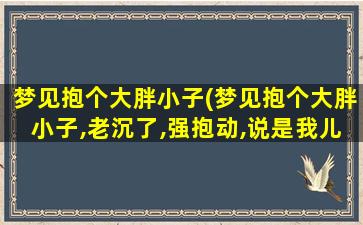 梦见抱个大胖小子(梦见抱个大胖小子,老沉了,强抱动,说是我儿子)