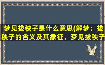 梦见拔秧子是什么意思(解梦：拔秧子的含义及其象征，梦见拔秧子预示着什么？)