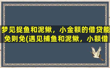 梦见捉鱼和泥鳅，小金额的借贷能免则免(遇见捕鱼和泥鳅，小额借贷尽量免除，了解相关规则！)