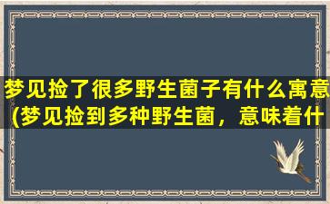 梦见捡了很多野生菌子有什么寓意(梦见捡到多种野生菌，意味着什么？一场解析野菌背后的寓意)