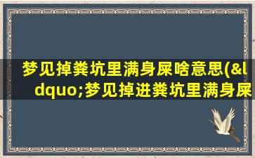 梦见掉粪坑里满身屎啥意思(“梦见掉进粪坑里满身屎”解析及相关预示)