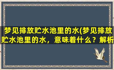 梦见排放贮水池里的水(梦见排放贮水池里的水，意味着什么？解析与分析)