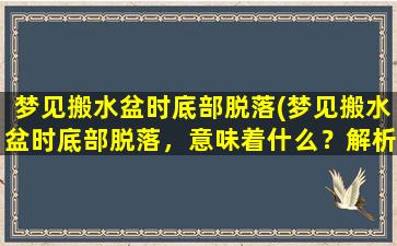 梦见搬水盆时底部脱落(梦见搬水盆时底部脱落，意味着什么？解析与分析)