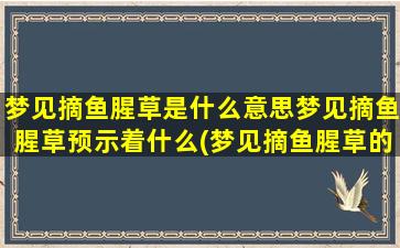 梦见摘鱼腥草是什么意思梦见摘鱼腥草预示着什么(梦见摘鱼腥草的含义及预示，解析梦境涵义)