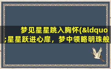 梦见星星跳入胸怀(“星星跃进心扉，梦中领略明珠般璀璨闪耀”)