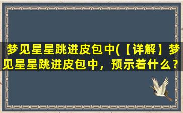 梦见星星跳进皮包中(【详解】梦见星星跳进皮包中，预示着什么？)