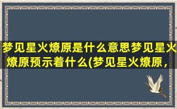 梦见星火燎原是什么意思梦见星火燎原预示着什么(梦见星火燎原，预示什么？解析与分析！)