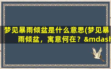 梦见暴雨倾盆是什么意思(梦见暴雨倾盆，寓意何在？——解析你梦见暴雨的含义)