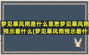 梦见暴风雨是什么意思梦见暴风雨预示着什么(梦见暴风雨预示着什么？暴风雨的梦境暗示和解释)